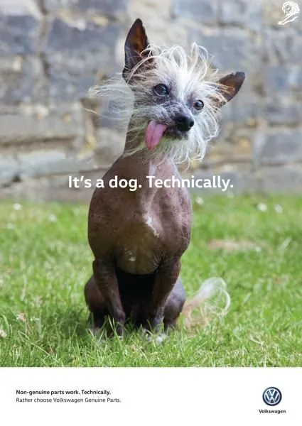 Volkswagen ad showing a scruffy, near-hairless dog on grass with the line 'It's a dog. Technically.' and 'Non-genuine parts work. Technically. Rather choose Volkswagen Genuine Parts.'